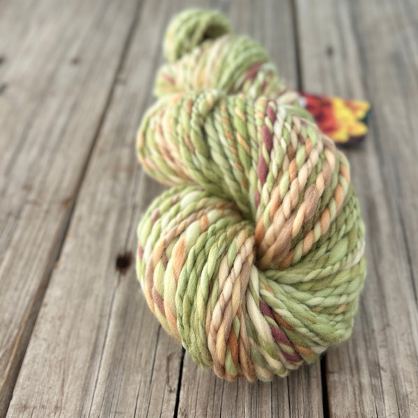 Handspun Bulky Yarn, spring green peach cream, 2 ply, superwash merino wool, 82 yards