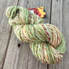 Handspun Bulky Yarn, spring green peach cream, 2 ply, superwash merino wool, 82 yards