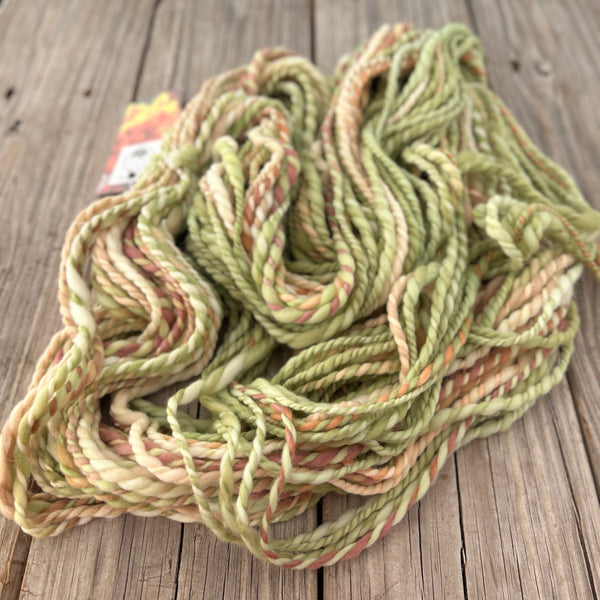 Handspun Bulky Yarn, spring green peach cream, 2 ply, superwash merino wool, 82 yards